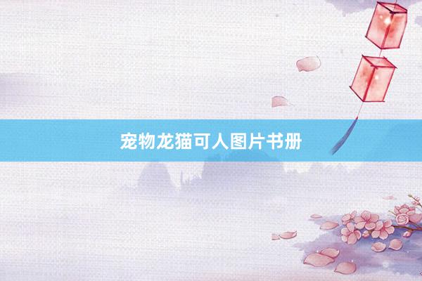 宠物龙猫可人图片书册