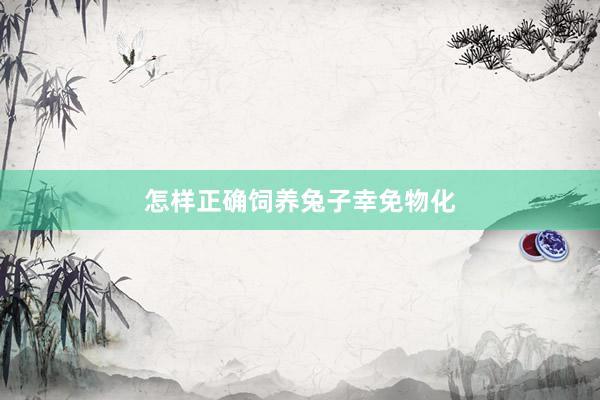 怎样正确饲养兔子幸免物化