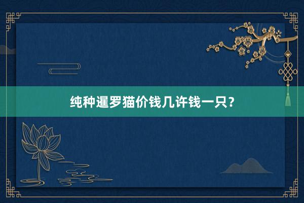 纯种暹罗猫价钱几许钱一只？